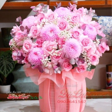 Hồng Phấn Dịu Dàng