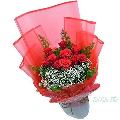 hong do dien hoa can tho