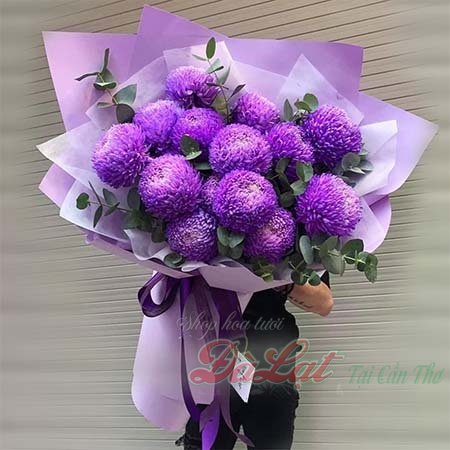 Cúc mẫu đơn tím