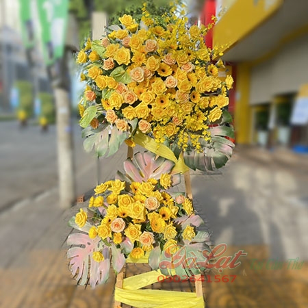 Khai Trương T802
