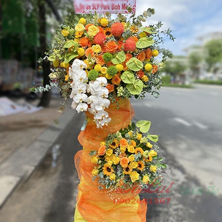 Khai Trương T803