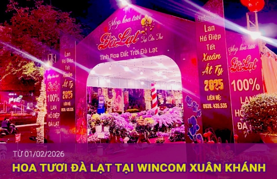 Điểm bán hoa Tết - Shop Hoa Cần Thơ - Wincom Xuân Khánh